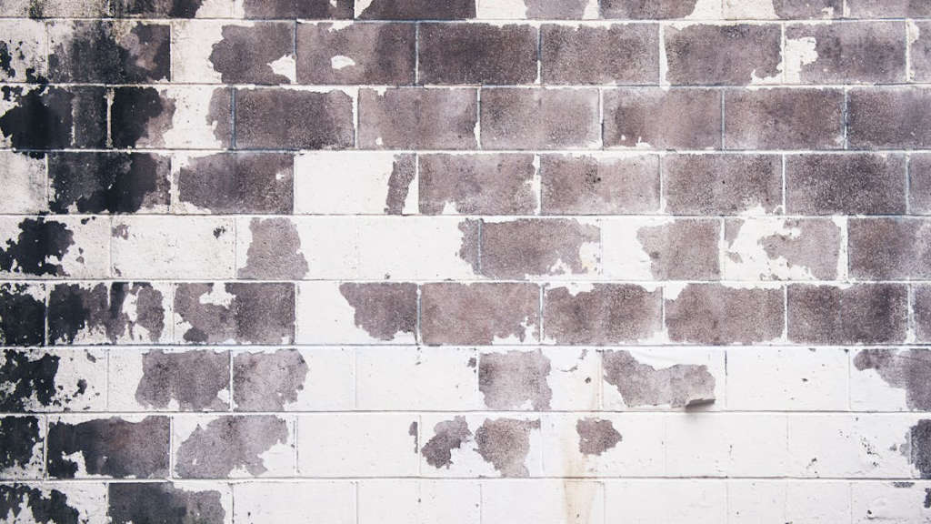 Die Kraft von Grunge-Designtrends entfesseln: Ein moderner Ansatz